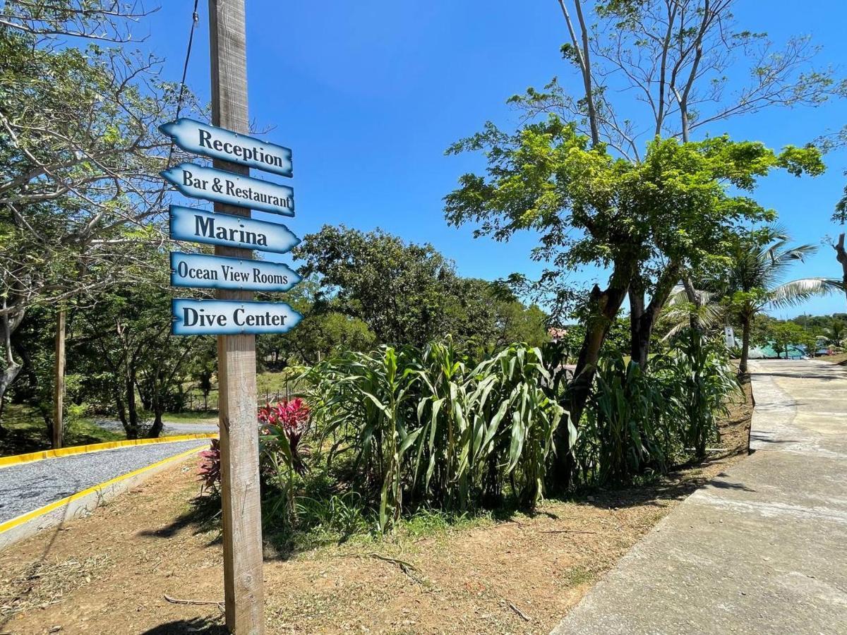 Hotel Roatan Yacht Club&Dive Center French Harbour Exterior foto